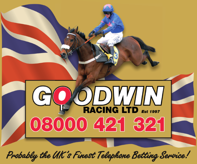 GOODWIN RACING LTD